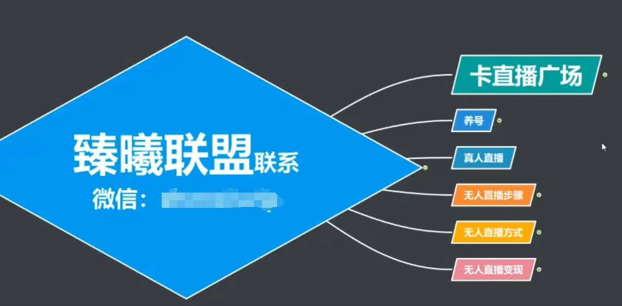 臻曦联盟，最新无人直播万人在线技术理原及详细操作步骤解析（视频教程）-木石资源网