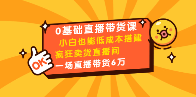 0基础直播带货课：小白也能低成本搭建疯狂卖货直播间：1场直播带货6万-木石资源网
