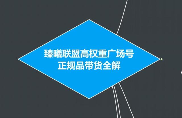 臻曦联盟抖音高权重广场号无人直播正规品带货全解-木石资源网