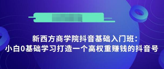 抖音基础入门班：小白0基础学习打造一个高权重赚钱的抖音号-木石资源网