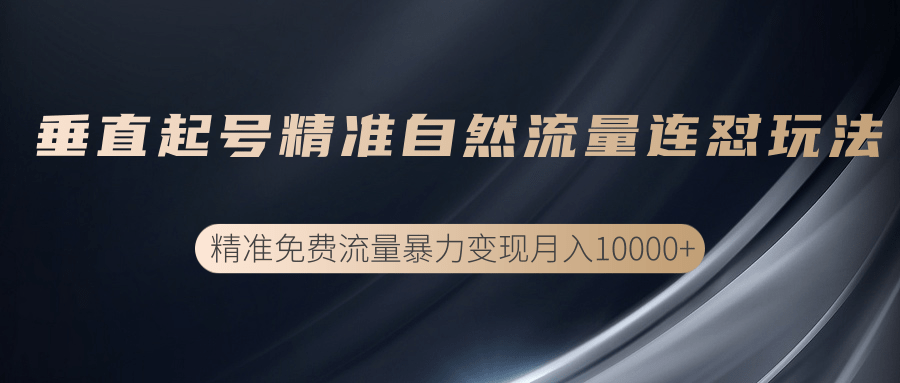 垂直起号精准自然流量连爆玩法，精准引流暴力变现月入10000+-木石资源网