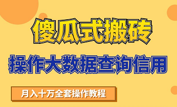 搬砖操作大数据查询信用项目赚钱教程，祝你快速月入6万-木石资源网