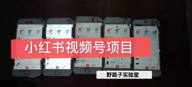 野路子小红书视频号1.0项目，直接上手操作就能赚钱的视频号项目-木石资源网