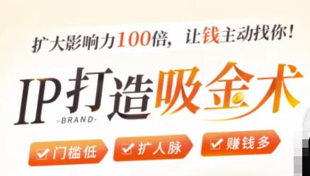 IP打造吸金术：0基础0资源，也能扩大影响力100倍，让钱主动找你！-木石资源网