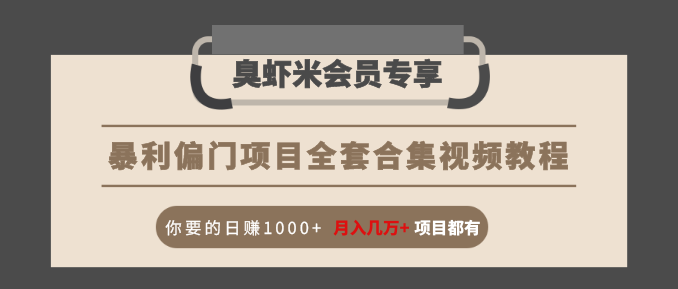 暴利偏门项目全套合集视频教程：你要的日赚1000+月入几万+项目都有-木石资源网