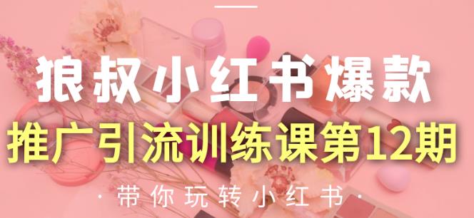 狼叔小红书爆款推广引流训练课第12期，手把手带你玩转小红书-木石资源网