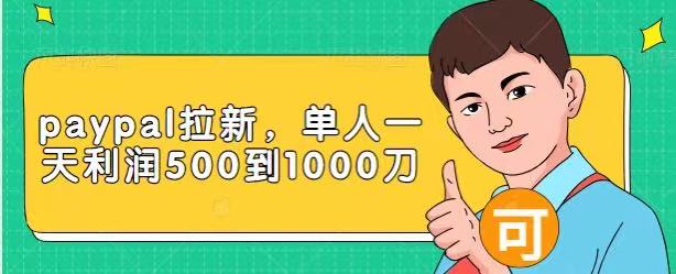 Paypal拉新赚美刀项目，单人一天利润500-1000刀【视频课程】-木石资源网