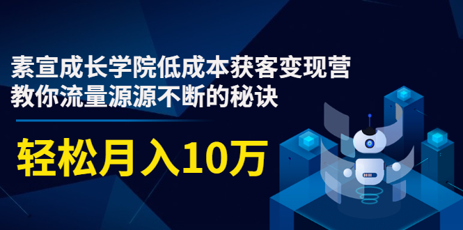 素宣成长学院低成本获客变现营，教你流量源源不断的秘诀，轻松月入10万-木石资源网
