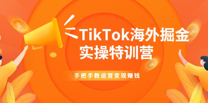 TikTok海外掘金实操特训营：手把手教运营变现赚钱-木石资源网