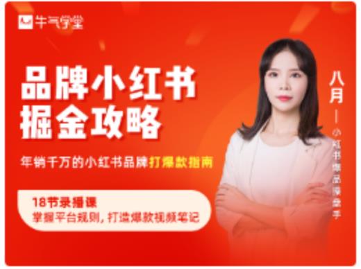 品牌小红书掘金攻略，年销千万的小红书品牌打爆款指南-木石资源网