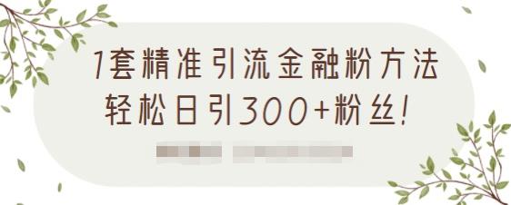 1套精准引流金融粉方法，轻松日引300+粉丝-木石资源网