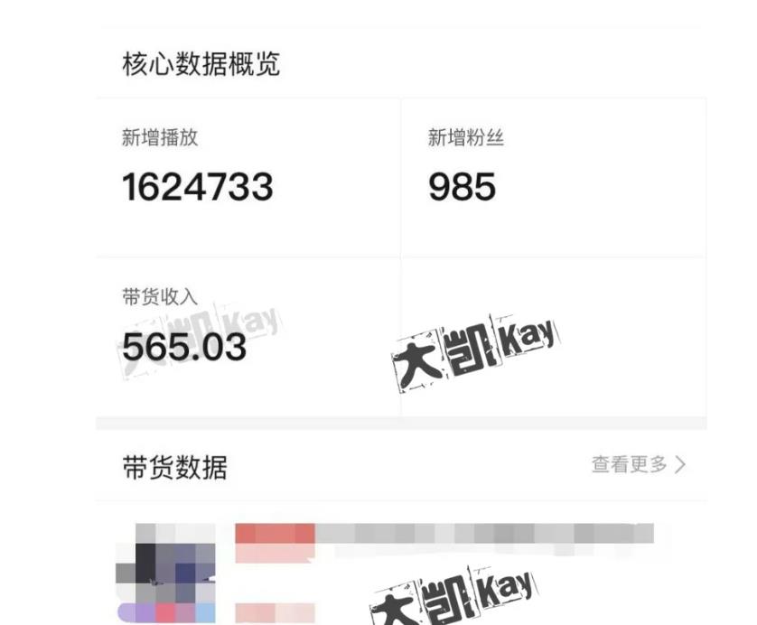 大凯进阶圈新玩法之拼多多视频玩法，利润大概一个号一天能有500~1500的左右!-木石资源网