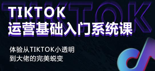 Tiktok实操进阶课程，体验从tiktok小透明到大佬的完美蜕变-木石资源网