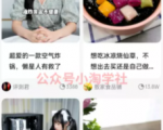 京东视频带货项目分享,发视频就能操作赚钱-木石资源网