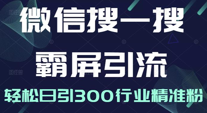 微信搜一搜霸屏引流课，打造被动精准引流系统，轻松日引300行业精准粉-木石资源网