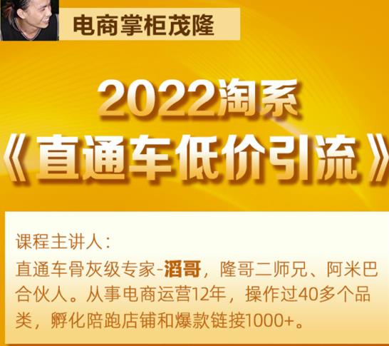 茂隆2022直通车低价引流玩法，教大家如何低投入高回报的直通车玩法-木石资源网