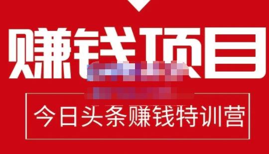 懒人领域·今日头条项目玩法，头条中视频项目，单号收益在50—500可批量-木石资源网