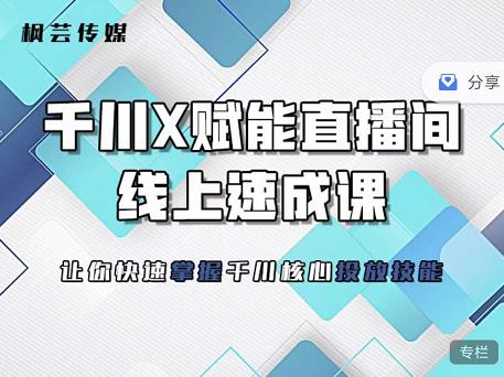 枫芸传媒-线上千川提升课，提升千川认知，提升千川投放效果-木石资源网