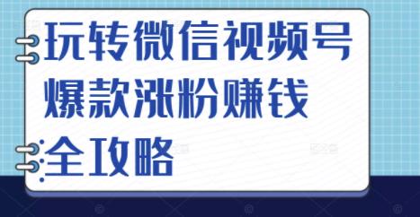 玩转微信视频号爆款涨粉赚钱全攻略，让你快速抓住流量风口，收获红利财富-木石资源网