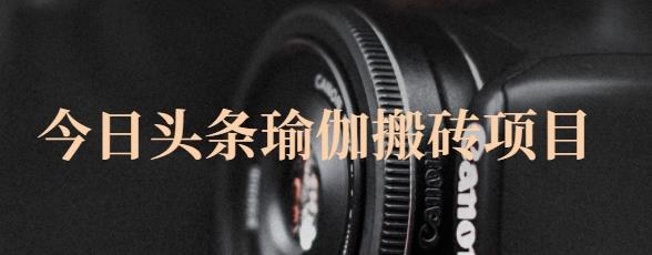 猎人社区·今日头条瑜伽搬砖项目，单号一天几十收入，可以批量操作！-木石资源网