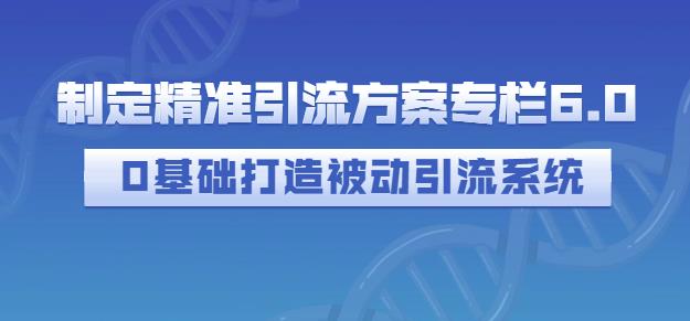 制定精准引流方案专栏6.0，0基础打造被动引流系统-木石资源网