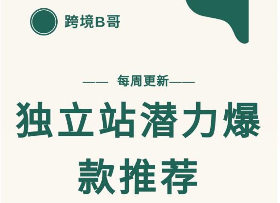 【跨境B哥】独立站潜力爆款选品推荐，测款出单率高达百分之80-木石资源网