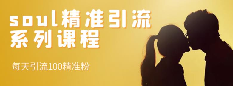 soul精准引流系列课程，每天引流100精准粉-木石资源网