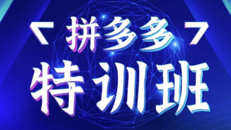 星雪教育·拼多多基础班+进阶班+突破班，用系统的学习模式快速改变现状价值3580元-木石资源网