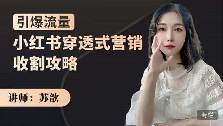 苏歆：小红书穿透式营销收割攻略，引爆流量，助你玩转小红书-木石资源网