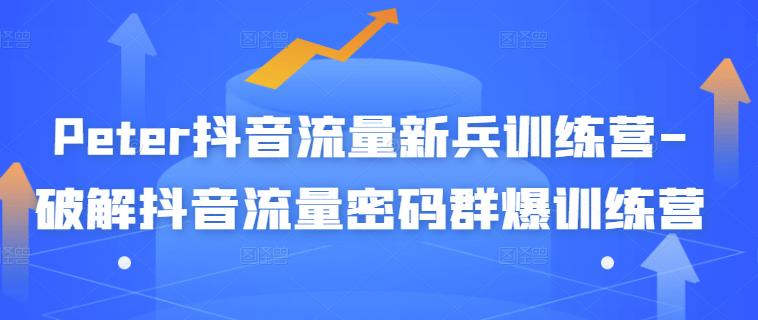 Peter抖音流量新兵训练营-破解抖音流量密码群爆训练营（新兵）-木石资源网