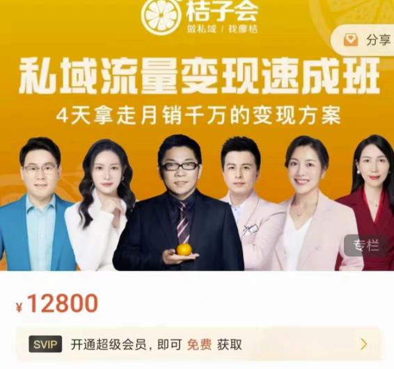 桔子会·私域流量变现速成班，4天拿走月销千万的变现方案 价值12800元-木石资源网