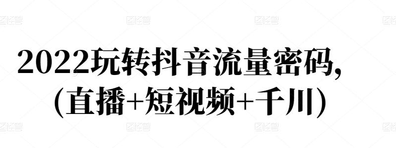 2022玩转抖音流量密码，(直播+短视频+千川)-木石资源网