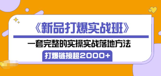 凌童《新品打爆实战班》,一套完整的实操实战落地方法，打爆链接超2000+（28节课)-木石资源网