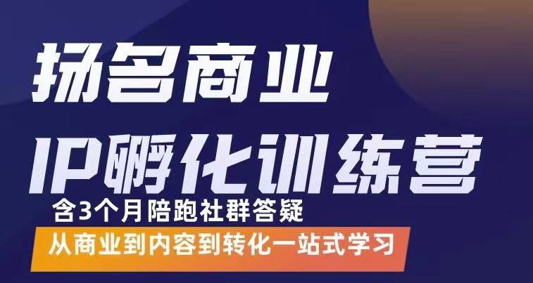 杨名商业IP孵化训练营，从商业到内容到转化一站式学 价值5980元-木石资源网