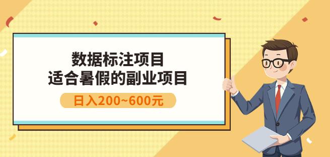 副业赚钱：人工智能数据标注项目，简单易上手，小白也能日入200+-木石资源网