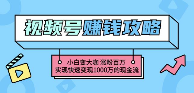 玩转微信视频号赚钱：小白变大咖涨粉百万实现快速变现1000万的现金流-木石资源网
