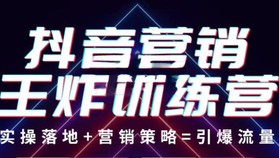 抖音营销王炸训练营，实操落地+营销策略=引爆流量（价值8960元）-木石资源网