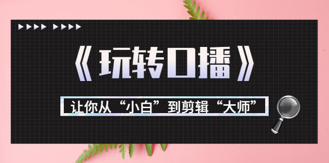 月营业额700万+大佬教您《玩转口播》让你从“小白”到剪辑“大师”-木石资源网