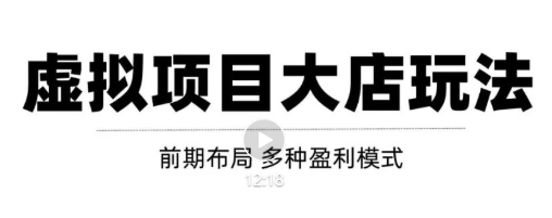 虚拟项目月入几万大店玩法分享，多店操作利润倍增（快速起店盈利）-木石资源网