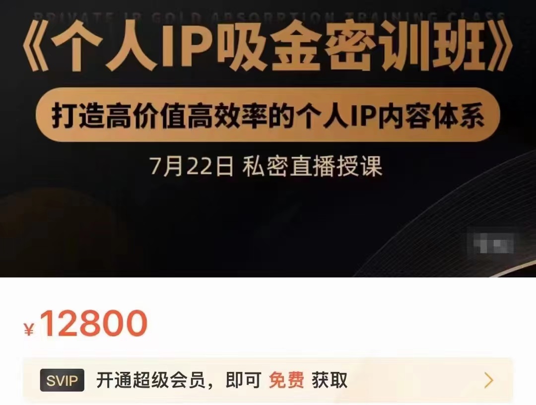 个人IP吸金密训班，打造高价值高效率的个人IP内容体系（价值12800元）-木石资源网