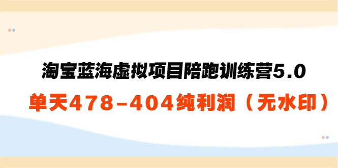 淘宝蓝海虚拟项目陪跑训练营5.0：单天478纯利润-木石资源网