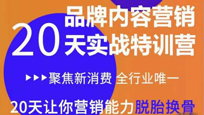 《内容营销实操特训营》20天让你营销能力脱胎换骨（价值3999）-木石资源网
