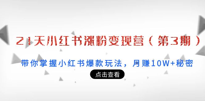21天小红书涨粉变现营（第3期）：带你掌握小红书爆款玩法，月赚10W+秘密-木石资源网