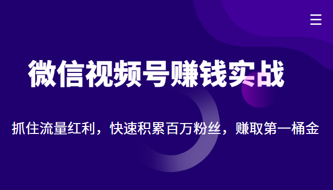 微信视频号赚钱实战：抓住流量红利，快速积累百万粉丝，赚取你的第一桶金-木石资源网