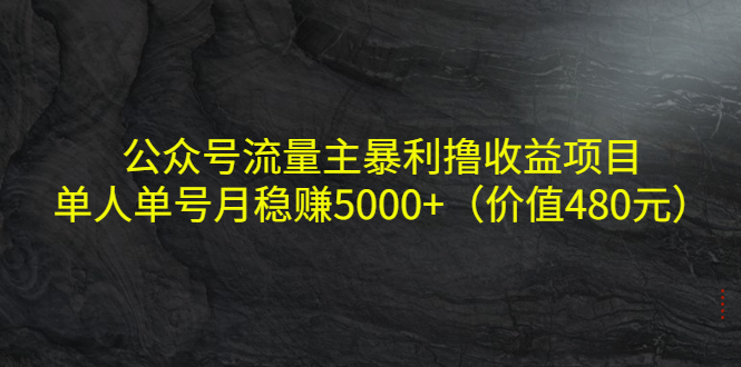 公众号流量主暴利撸收益项目，单人单号月稳赚5000+（价值480元）-木石资源网