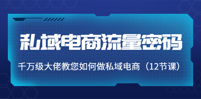 私域电商流量密码：千万级大佬教您如何做私域电商（12节课）-木石资源网
