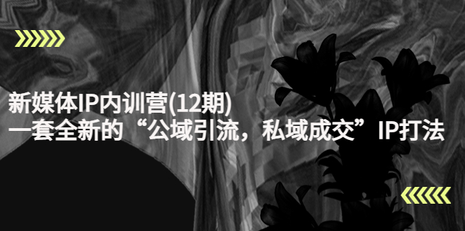 新媒体IP内训营(12期)，一套全新的“公域引流，私域成交”IP打法，直接带走-木石资源网
