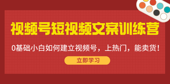 视频号短视频文案训练营：0基础小白如何建立视频号，上热门，能卖货！-木石资源网