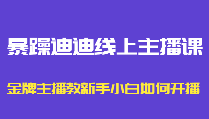暴躁迪迪线上主播课，金牌主播教新手小白如何开播-木石资源网