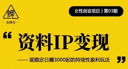 资料IP变现，能稳定日赚3000起的持续性盈利玩法-木石资源网